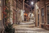 Deventer at Night, Bergkwartier 2014
