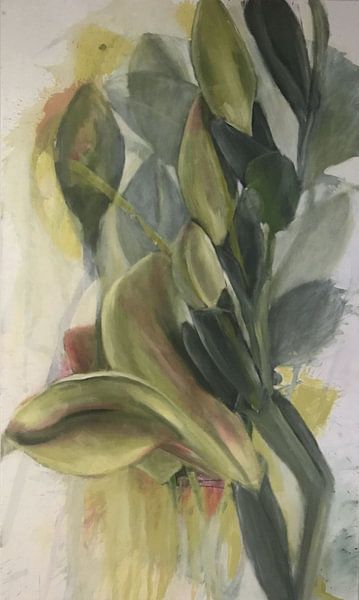 'Freesia' by Marita Braun