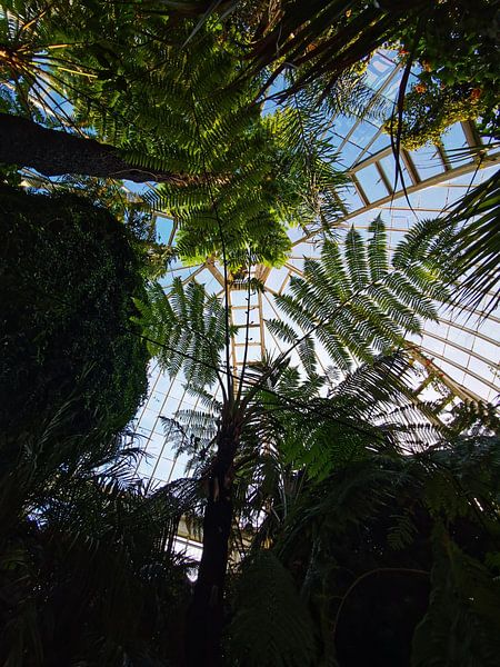 Urban Jungle by Kosmic Images