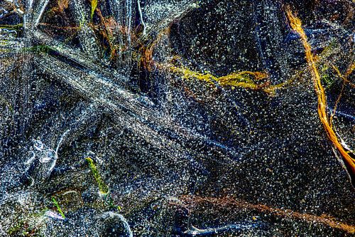 A touch of frost, galaxy on ice