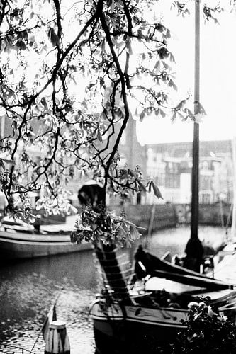 Bladerdak bij Delfshaven