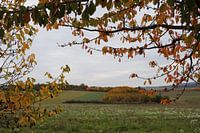 Golden autumn in the Rhön and Lower Franconia