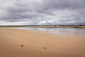 Naturschutzgebiet De Slufter auf Texel