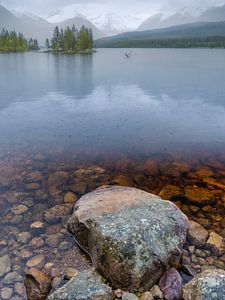 Little island in the lake