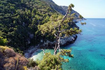 Strand by Patrick Ven