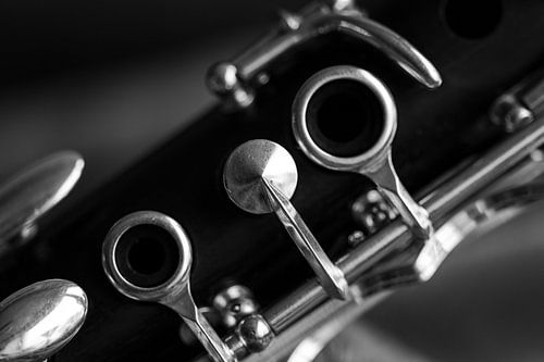 Detail Klarinette (4) von Lianne van Dijk