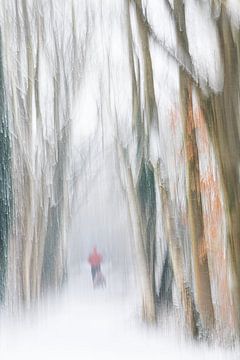 Winter von Ingrid Van Damme fotografie