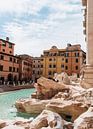 Trevi Fountain in Rome by Dayenne van Peperstraten thumbnail