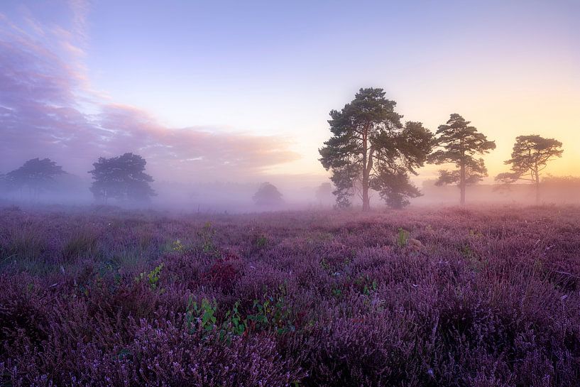 Sunrise over the Overasselt Fens by Jeroen Lagerwerf