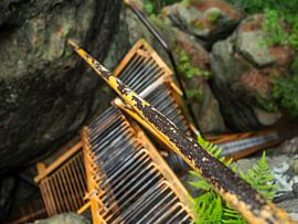 Sachsenstein, Suisse saxonne - Escalier vers le petit sommet rocheux