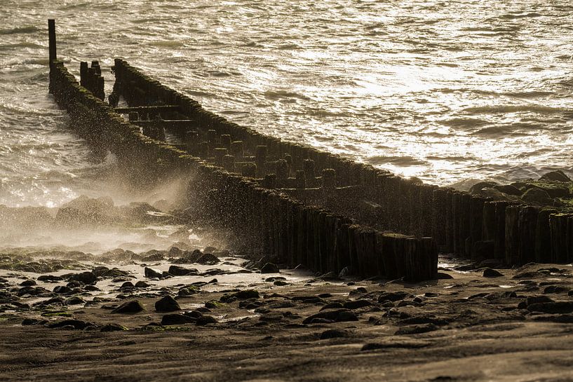 Storm aan zee van Mario Lere