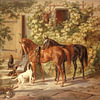 Horses