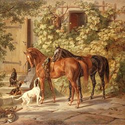 Paarden