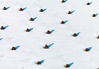 Ruiters in Sneeuw