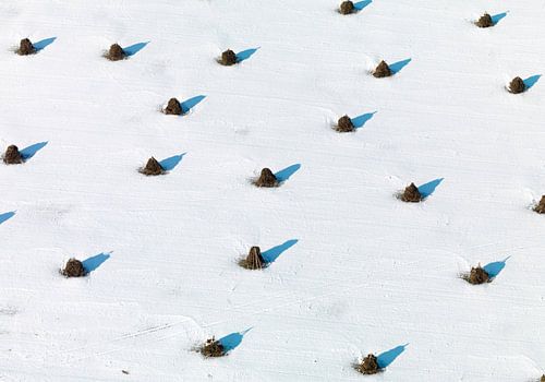Ruiters in Sneeuw