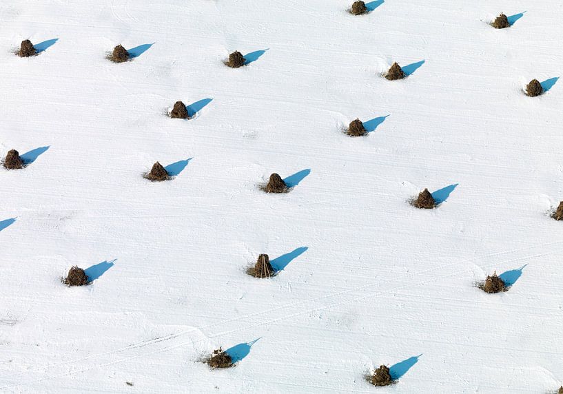 Reiter im Schnee von Sky Pictures Fotografie