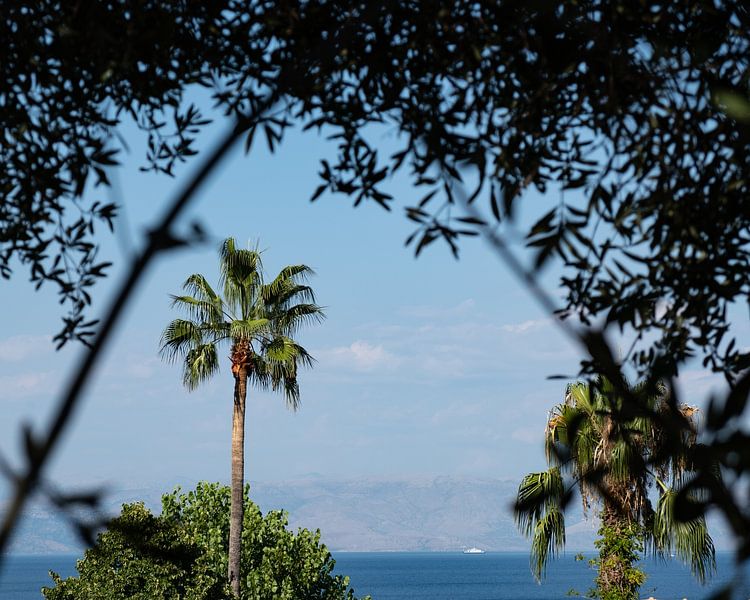 Aussichtspalme von Nienke Stegeman