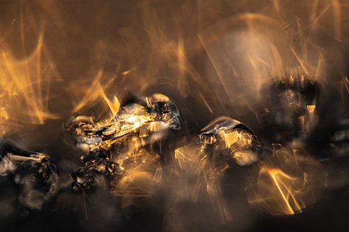 Gouden Vogel | Fine Art | Sterrenstof