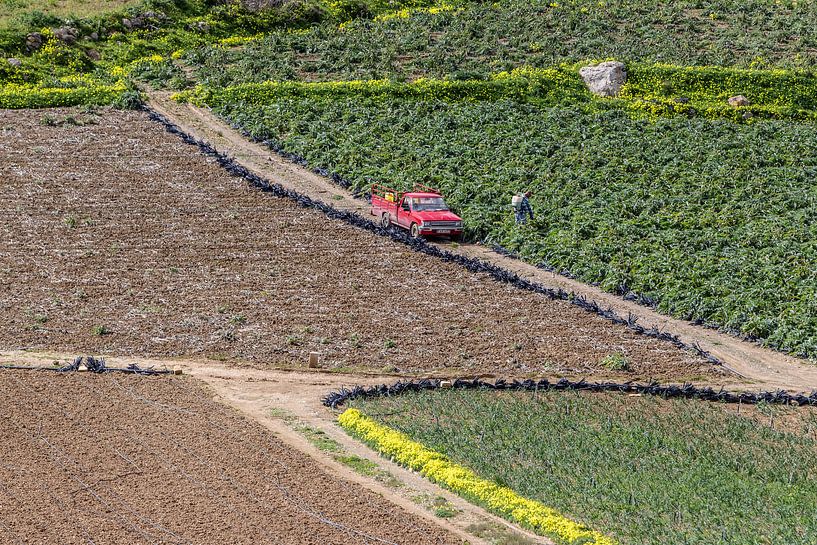 Man werkt op het land met rode auto op Malta van Eric van Nieuwland