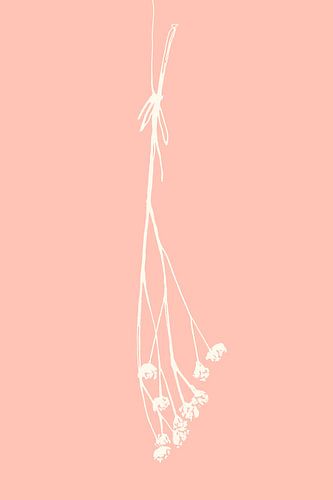 Gypsophila-inkt schets I (crème, roze)