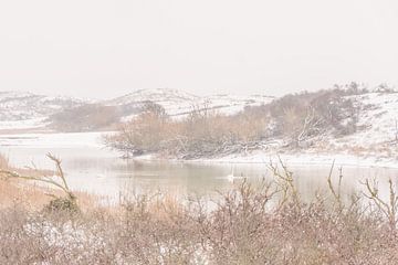 Winters landschap von Carla Eekels