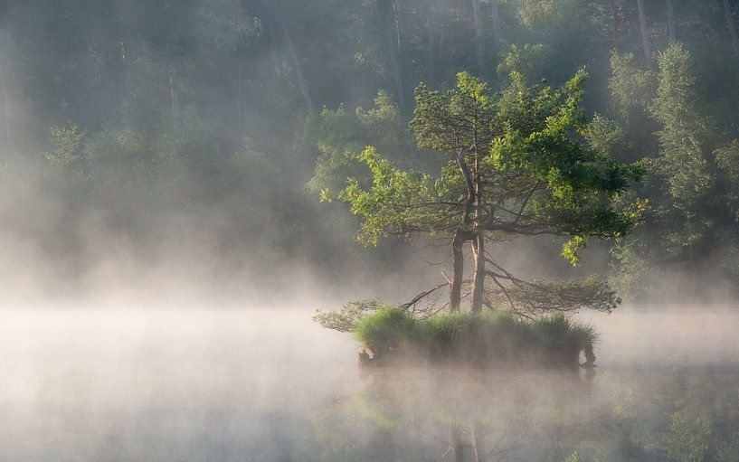 Oisterwijk fens by Jeroen Linnenkamp