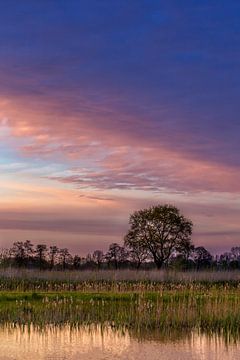 Purple Sunset van Joram Janssen