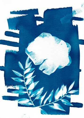 Blauwe Kwal &amp; Bladeren
