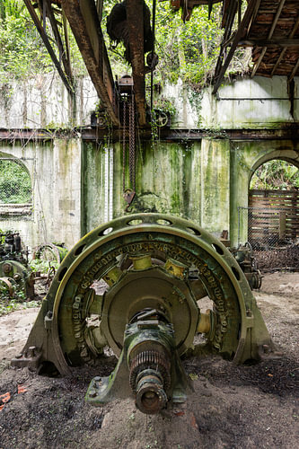Green tranquillity in the abandoned hydroelectric power station
