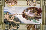Michelangelo. Sixtijnse Kapel, Schepping van Adam van 1000 Schilderijen thumbnail