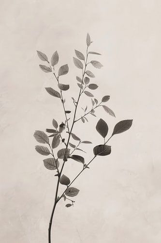 Abstracte kunst Japan