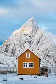 Das berühmte Häuschen auf den Lofoten von Johan Bergsma