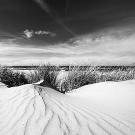 Duinen Sint Maartenszee van Frank Mosch