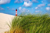 Amrum vuurtoren achter duingras