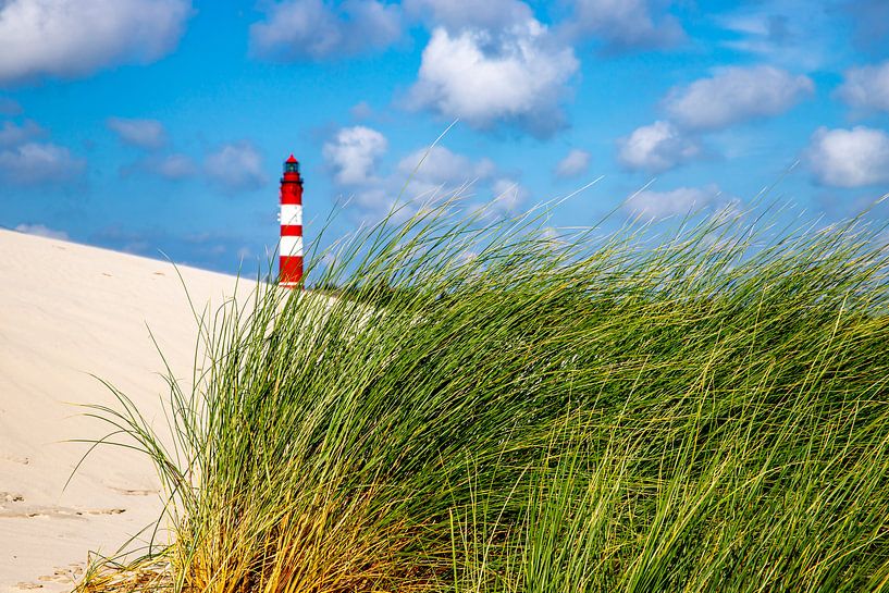 Amrum vuurtoren achter duingras van Alexander Wolff