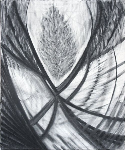 secrets-revealed-s001-4__2009 by Hans Zantman