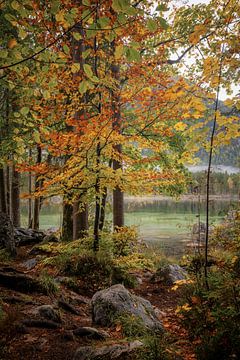 Am Hintersee von Peter Korevaar