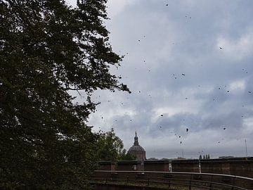 Herfstbladeren in Nederland van Dario En Holanda