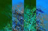 Vierluik bomen von CreaBrig Fotografie Miniaturansicht