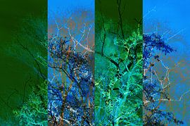 Vierluik bomen by CreaBrig Fotografie