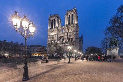 Notre Dame by night