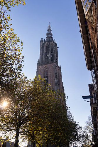 Onze Lieve Vrouwetoren, Amersfoort , Nederland