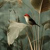 Tropischer Vogel von Studio Allee