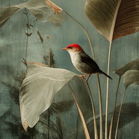 Tropischer Vogel von Studio Allee