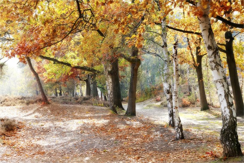 qui quittera cet endroit..... par Els Fonteine