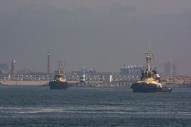 Schleppboote vor dem Strand von IJmuiden. von scheepskijkerhavenfotografie