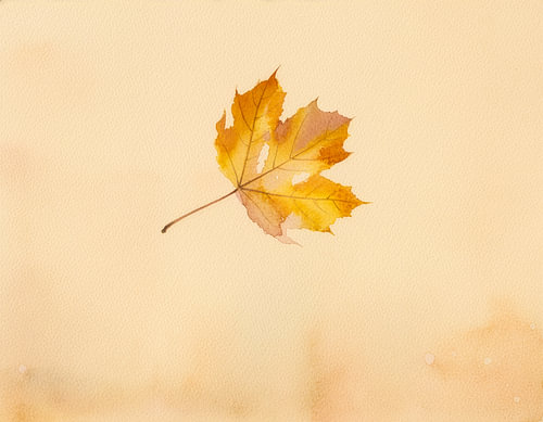 Minimalistisches goldenes Herbstblatt auf einem warmen beige strukturierten Hintergrund