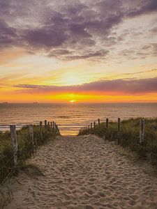Strand, Meer und Sonne an der niederländischen Küste