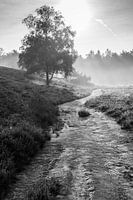 Heath Path