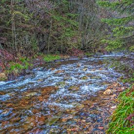 groene natuur met stromend rivier. Prachtige landschap van Nature Life Ambience